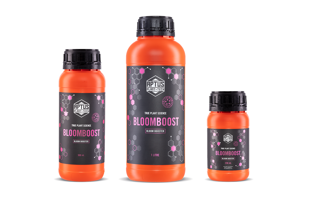 BLOOMBOOST(ブルームブースト)