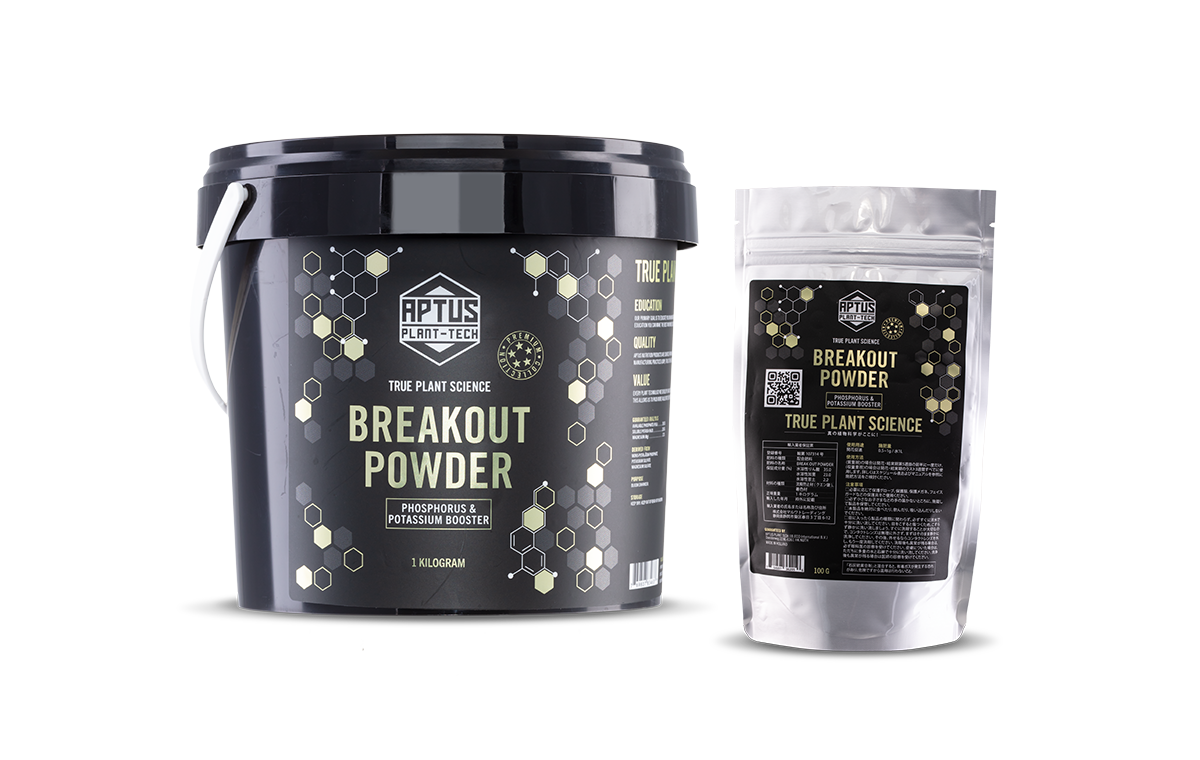 BREAKOUT POWDER(ブレイクアウト・パウダー)