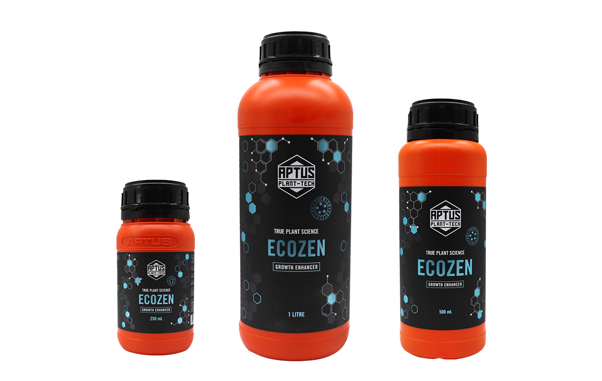 ECOZEN/エコゼン