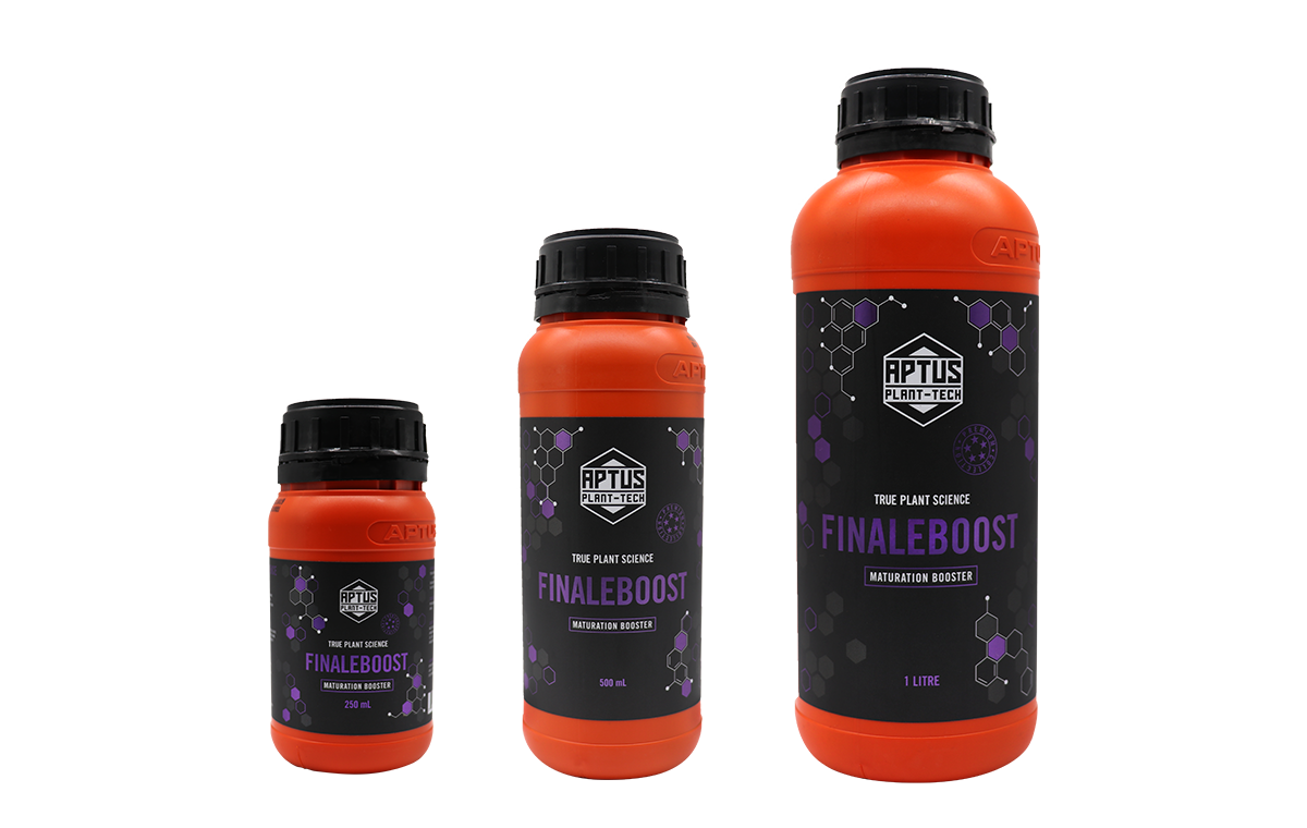 FINALEBOOST(ファイナルブースト)