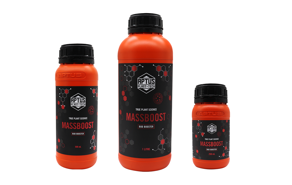 MASSBOOST(マスブースト)