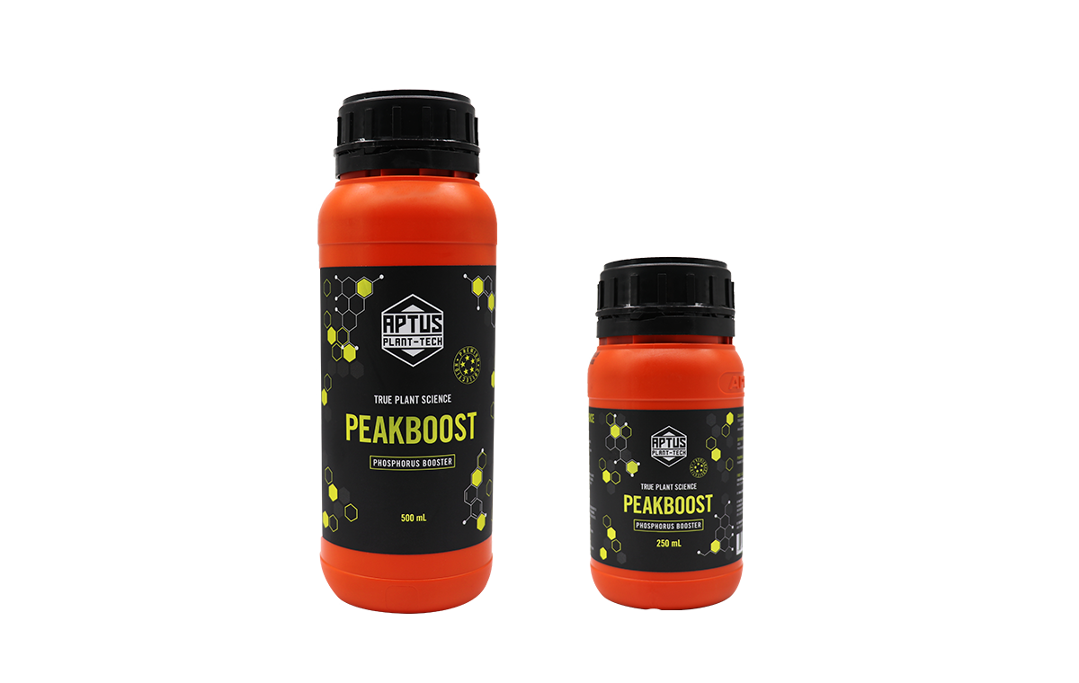 PEAKBOOST(ピークブースト)